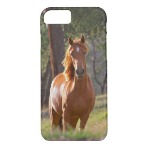 Coque iPhone 7 Cheval dans les bois