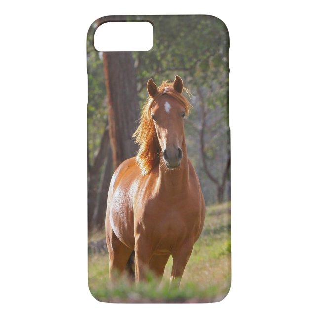 Coques Case-Mate iPhone Cheval dans les bois (Dos)