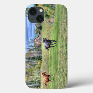Coque Case-Mate iPhone Cheval de châtaignier à la recherche d'un étalon n
