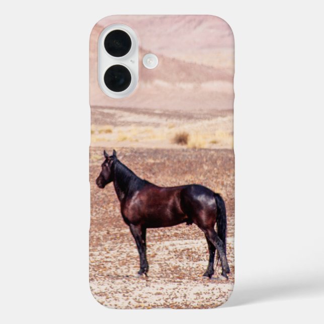 Coques Case-Mate iPhone Cheval du désert P8664 (Verso)