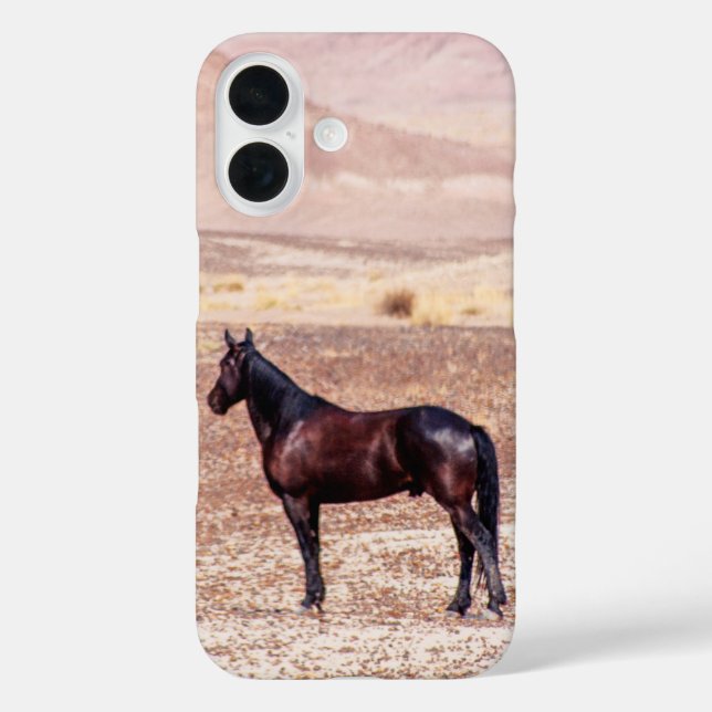 Coques Case-Mate iPhone Cheval du désert P8664 (Verso)