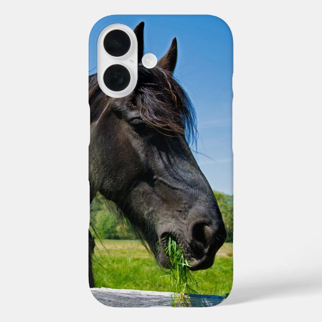 Coques Case-Mate iPhone Cheval friésien noir (Verso)