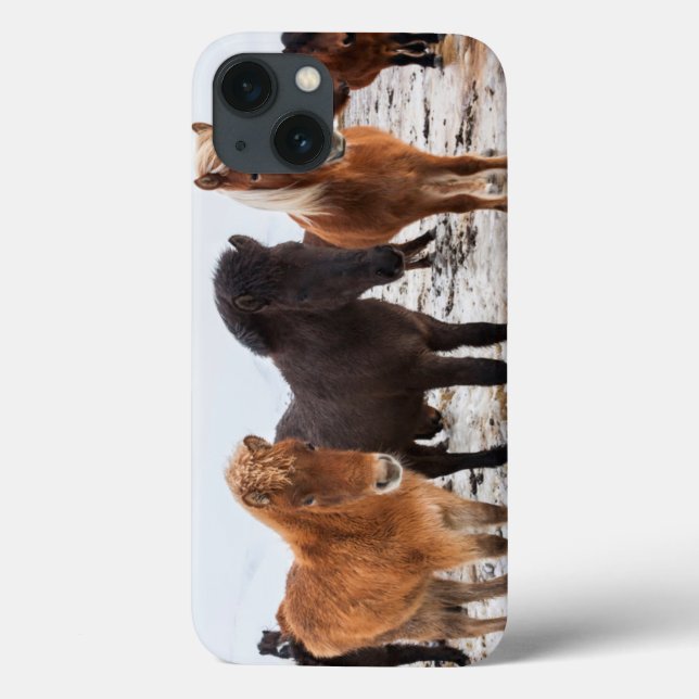 Coques Case-Mate iPhone Cheval islandais en hiver en Islande (Verso)