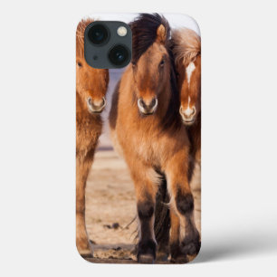 Coque Case-Mate iPhone Cheval islandais pendant l'hiver