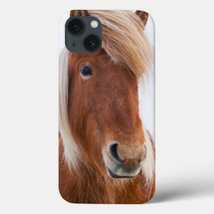 Coque Case-Mate iPhone Cheval islandais pendant l'hiver 2