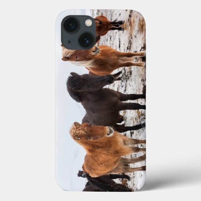 Coques Case-Mate iPhone Cheval islandais pendant l'hiver sur l'Islande (Verso)