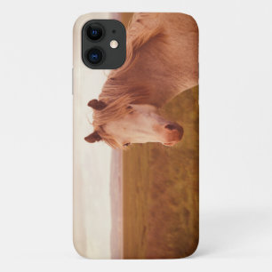 Case-Mate iPhone Case Cheval sauvage vintage