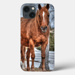 Coques Pour iPhone Chevaux - American Western Theme