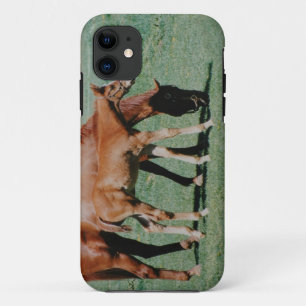 COQUE Case-Mate iPhone CHEVAUX AMICAUX