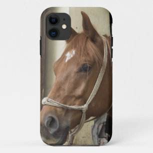 Coque iPhone 11 Chevaux arabes