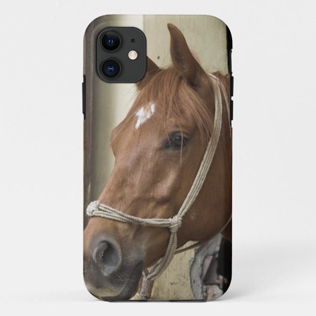 Coques Case-Mate iPhone Chevaux arabes (Dos)