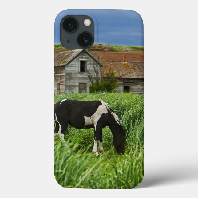 Coques Case-Mate iPhone Chevaux dans un champ dans la Palouse 2 (Verso)