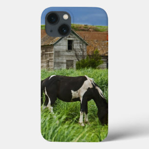 Coque Case-Mate iPhone Chevaux dans un champ dans la Palouse 2