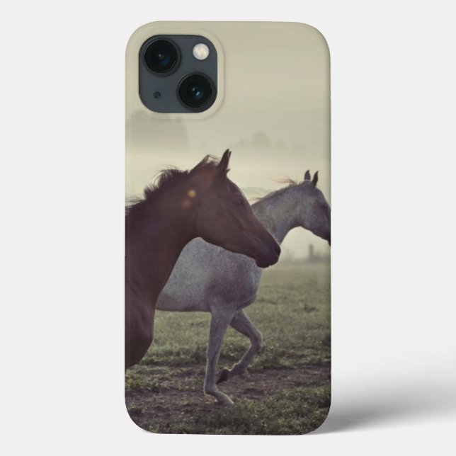Coques Case-Mate iPhone Chevaux sauvages (Verso)