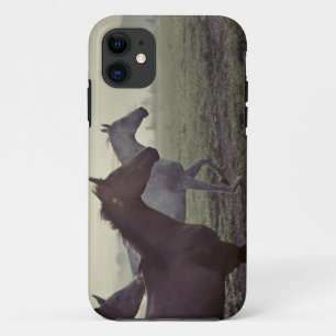 Coque iPhone 11 Chevaux sauvages
