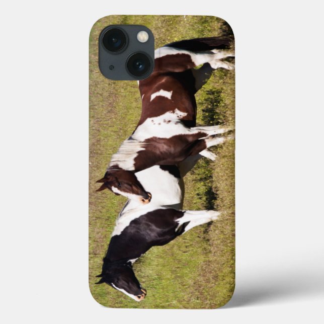 Coques Case-Mate iPhone Chevaux sur le flanc de coteau (Verso)