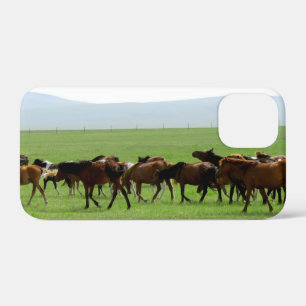 Coque iPhone 12 Mini Chevaux sur le pâturage - Photographie du paysage