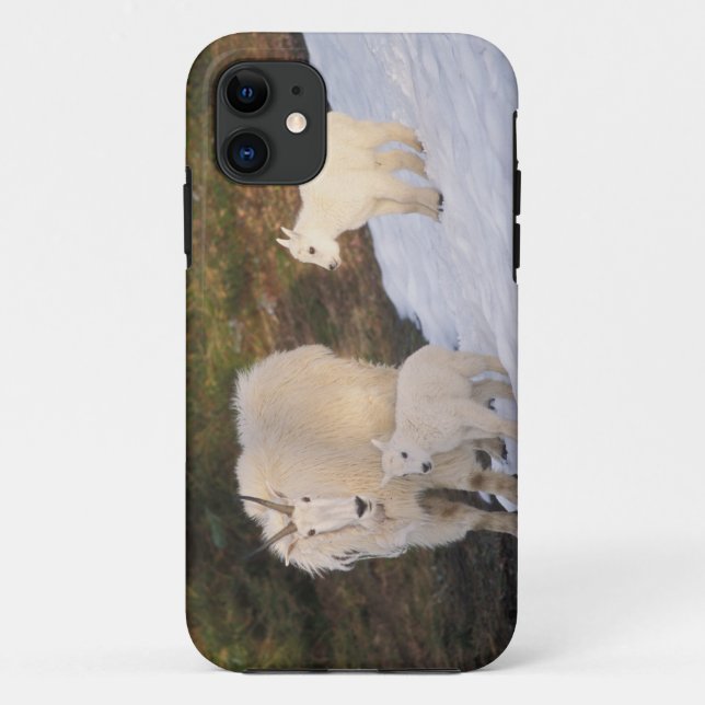 Coques Case-Mate iPhone chèvres des montagnes (Dos)