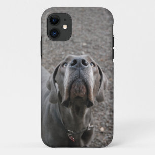 Coques Pour iPhone Chien à l'oreille
