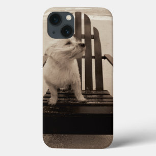 iPhone 13 Coque Chien appréciant la plage