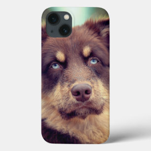 Case-Mate iPhone Case Chien, berger australien, animal de compagnie