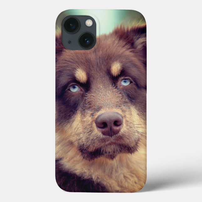 Coques Case-Mate iPhone Chien, berger australien, animal de compagnie (Verso)