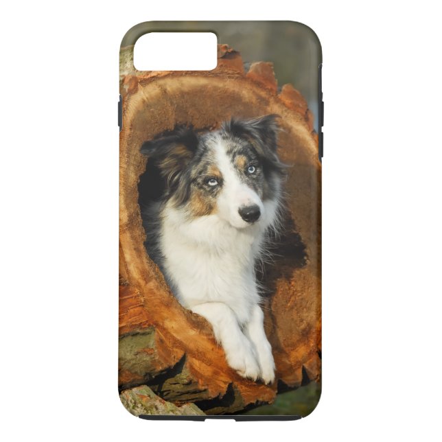 Coques Case-Mate iPhone Chien bleu de border collie Merle, cellule (Dos)