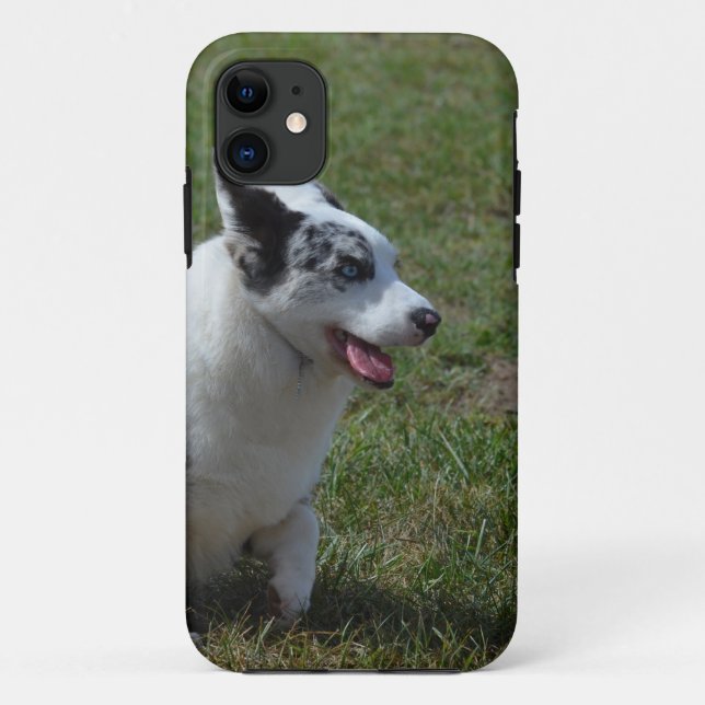 Coques Case-Mate iPhone Chien bleu de corgi de Merle (Dos)
