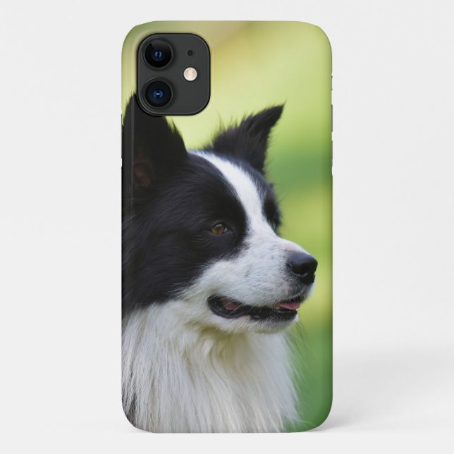 Coques Case-Mate iPhone Chien de berger border collie noir et blanc (Dos)