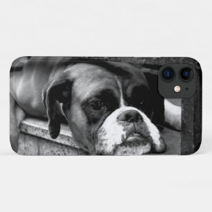 Case-Mate iPhone Case Chien de boîte sur Windows iphcnm