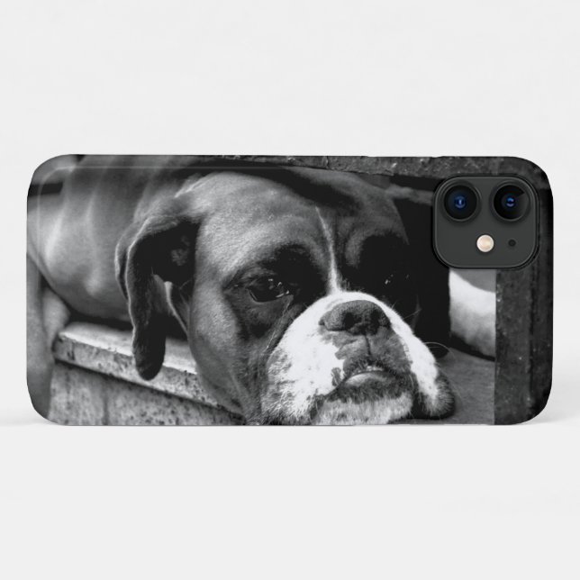 Coques Case-Mate iPhone Chien de boîte sur Windows iphcnm (Dos (Horizontal))