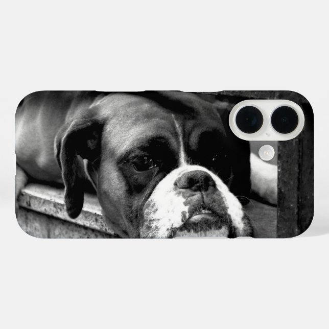 Coques Case-Mate iPhone Chien de boîte sur Windows iphcnm (Verso (horizontal))