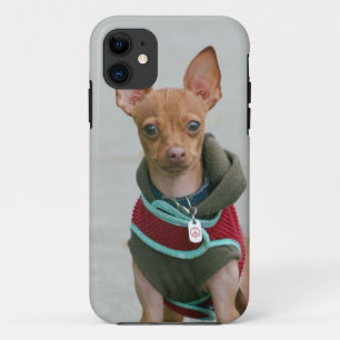 Case-Mate iPhone Case Chien de chiwawa