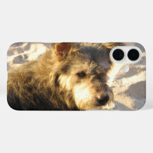 Coque Pour iPhone 16 Plus Chien de plage thaïlandais