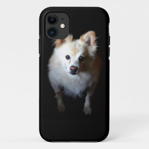 Coque Case-Mate iPhone Chien de Poméranie en noir
