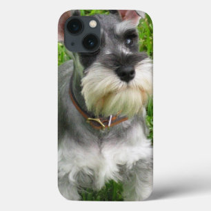 Coques Pour iPhone Chien de Schnauzer