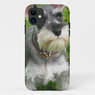 Coque Case-Mate iPhone Chien de Schnauzer