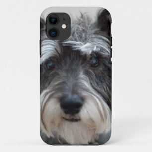 Coques Pour iPhone Chien de Schnauzer