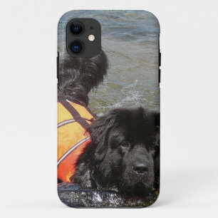 Coque iPhone 11 Chien de Terre-Neuve