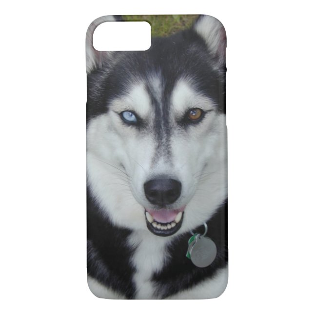 Coques Case-Mate iPhone chien de traîneau sibérien de cas de l'iPhone 7 (Dos)
