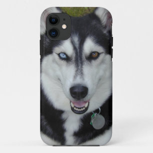 Coque Case-Mate Pour iPhone Chien de traîneau sibérien de couverture d'IPhone