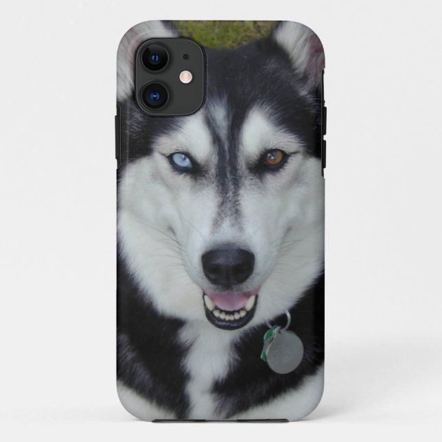 Coques Case-Mate iPhone Chien de traîneau sibérien de couverture d'IPhone (Dos)