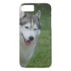 Etui iPhone Case-Mate Chien de traîneau sibérien mignon