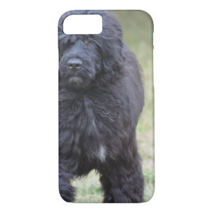 Coque Case-Mate iPhone Chien d'eau portugais noir