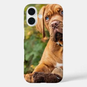 Coque Pour iPhone 16 Chien mignon