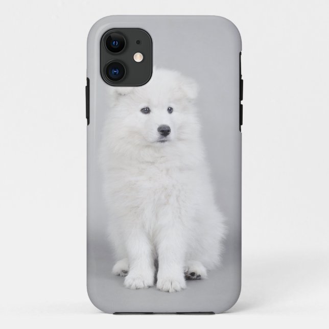 Coques Case-Mate iPhone Chien Samoyé (Dos)