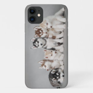 Case-Mate iPhone Case Chiens de Husky