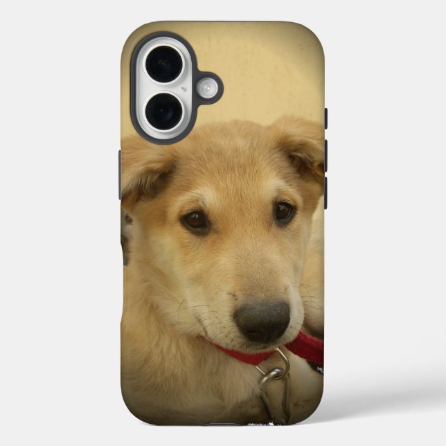 Coques Case-Mate iPhone Chiens mignons et Chiens de marionnettes Mans deux (Verso)