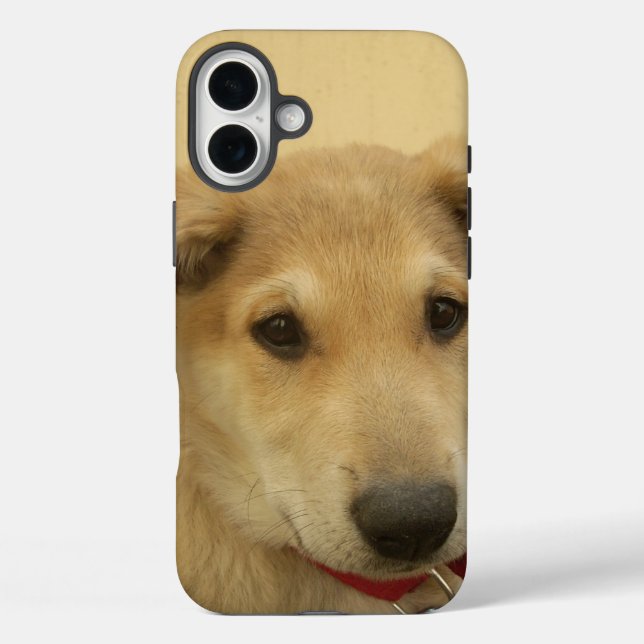 Coques Case-Mate iPhone Chiens mignons et chiots Mans deuxième meilleur am (Verso)