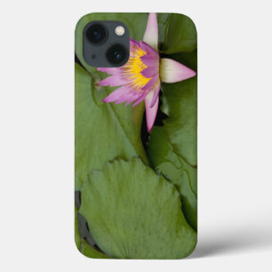 iPhone 13 Coque Chine, Hong Kong, Nouveaux Territoires. Chi Lin